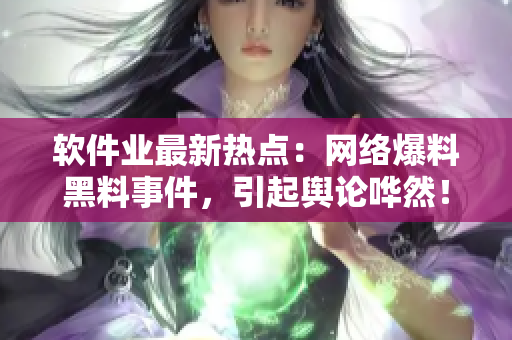 軟件業(yè)最新熱點：網(wǎng)絡爆料黑料事件，引起輿論嘩然！