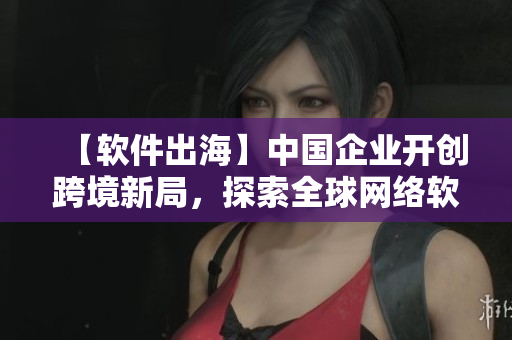 【軟件出?！恐袊?guó)企業(yè)開創(chuàng)跨境新局，探索全球網(wǎng)絡(luò)軟件市場(chǎng)！