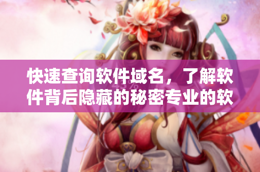 快速查詢軟件域名，了解軟件背后隱藏的秘密專業(yè)的軟件查詢工具