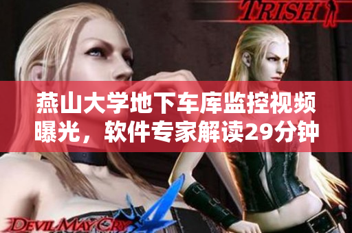 燕山大學地下車庫監(jiān)控視頻曝光，軟件專家解讀29分鐘內(nèi)意外發(fā)生的故事