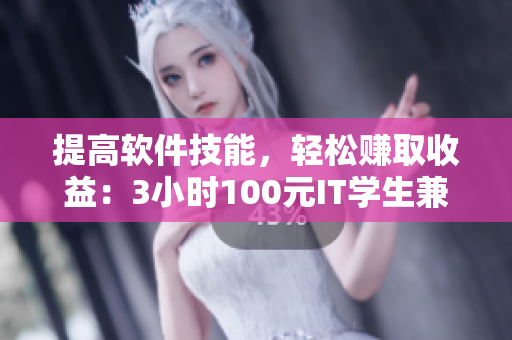 提高軟件技能，輕松賺取收益：3小時100元IT學(xué)生兼職