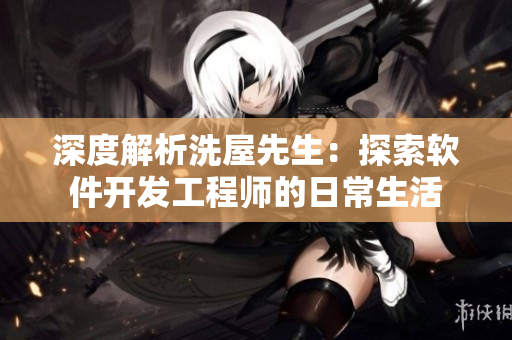 深度解析洗屋先生：探索軟件開(kāi)發(fā)工程師的日常生活