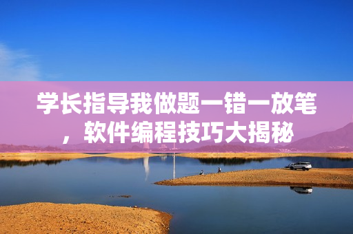 學(xué)長(zhǎng)指導(dǎo)我做題一錯(cuò)一放筆，軟件編程技巧大揭秘