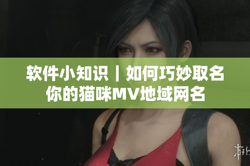軟件小知識｜如何巧妙取名你的貓咪MV地域網(wǎng)名