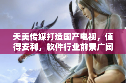 天美傳媒打造國(guó)產(chǎn)電視，值得安利，軟件行業(yè)前景廣闊