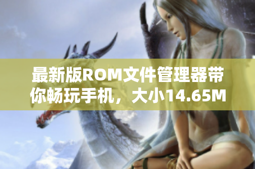 最新版ROM文件管理器帶你暢玩手機，大小14.65MB