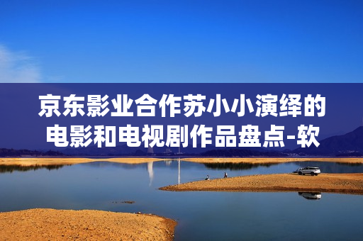 京東影業(yè)合作蘇小小演繹的電影和電視劇作品盤(pán)點(diǎn)-軟件技術(shù)全方位解析