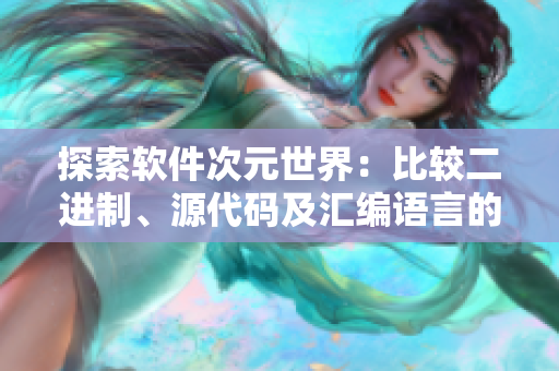 探索軟件次元世界：比較二進(jìn)制、源代碼及匯編語(yǔ)言的優(yōu)缺點(diǎn)