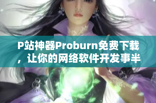 P站神器Proburn免費(fèi)下載，讓你的網(wǎng)絡(luò)軟件開(kāi)發(fā)事半功倍