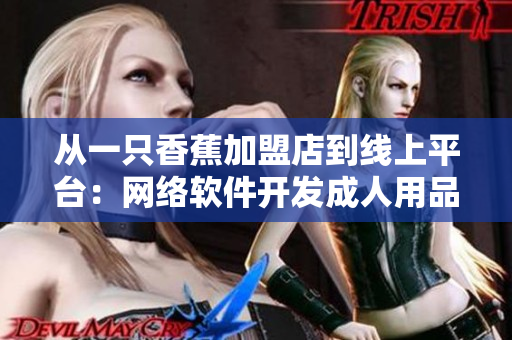 從一只香蕉加盟店到線上平臺：網(wǎng)絡(luò)軟件開發(fā)成人用品店加盟費用詳解
