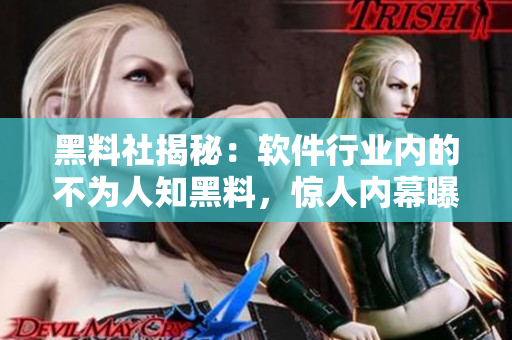 黑料社揭秘：軟件行業(yè)內(nèi)的不為人知黑料，驚人內(nèi)幕曝光！