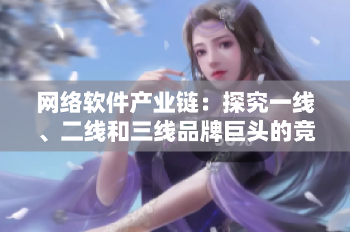 網(wǎng)絡(luò)軟件產(chǎn)業(yè)鏈：探究一線、二線和三線品牌巨頭的競(jìng)爭(zhēng)優(yōu)勢(shì)與未來趨勢(shì)