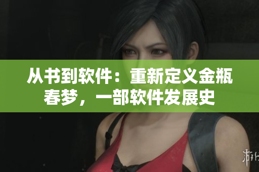 從書到軟件：重新定義金瓶春夢(mèng)，一部軟件發(fā)展史