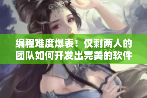 編程難度爆表！僅剩兩人的團隊如何開發(fā)出完美的軟件？