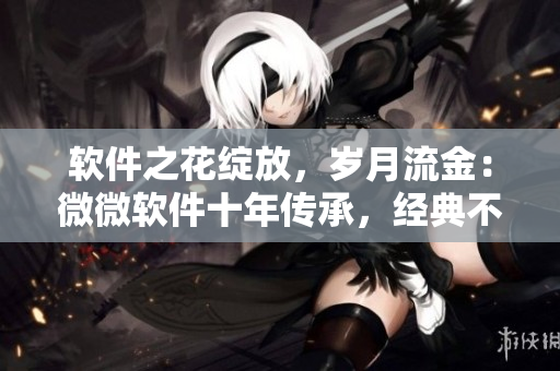 軟件之花綻放，歲月流金：微微軟件十年傳承，經(jīng)典不衰