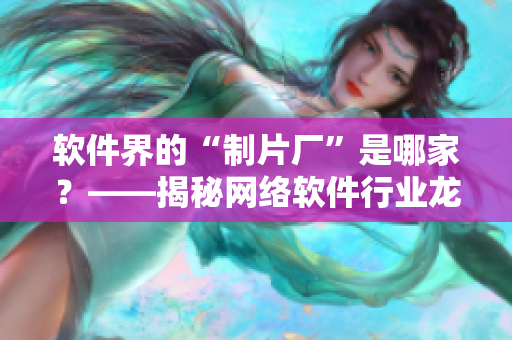 軟件界的“制片廠”是哪家？——揭秘網(wǎng)絡(luò)軟件行業(yè)龍頭公司