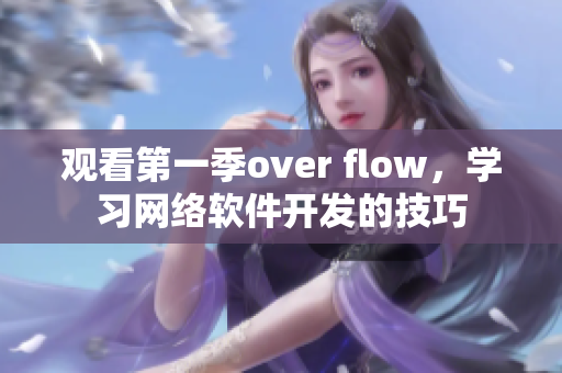 觀看第一季over flow，學(xué)習(xí)網(wǎng)絡(luò)軟件開發(fā)的技巧