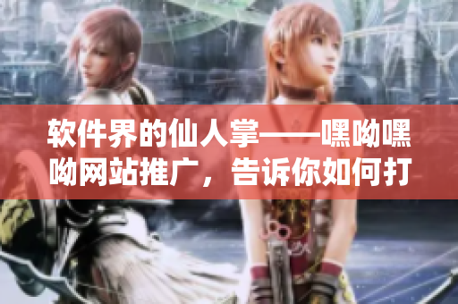 軟件界的仙人掌——嘿呦嘿呦網(wǎng)站推廣，告訴你如何打造高效網(wǎng)絡(luò)軟件