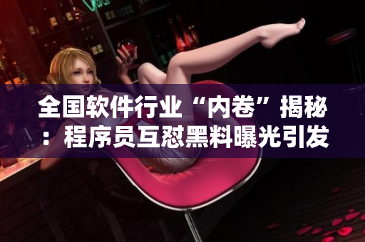 全國(guó)軟件行業(yè)“內(nèi)卷”揭秘：程序員互懟黑料曝光引發(fā)熱議