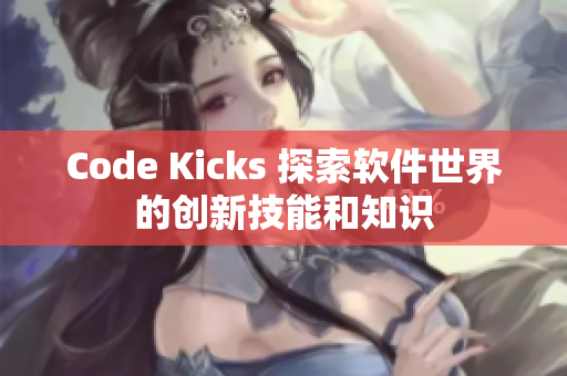 Code Kicks 探索軟件世界的創(chuàng)新技能和知識