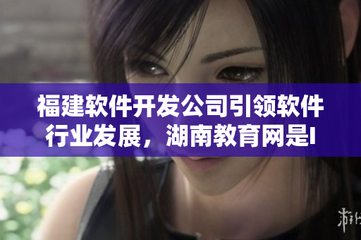 福建軟件開發(fā)公司引領(lǐng)軟件行業(yè)發(fā)展，湖南教育網(wǎng)是IT人才培養(yǎng)的重要導(dǎo)航