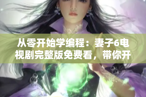 從零開始學(xué)編程：妻子6電視劇完整版免費看，帶你開啟軟件開發(fā)之路！