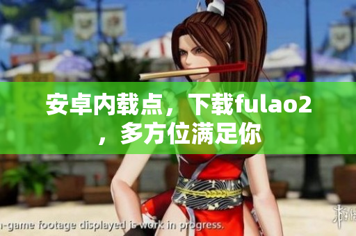 安卓內(nèi)載點，下載fulao2，多方位滿足你