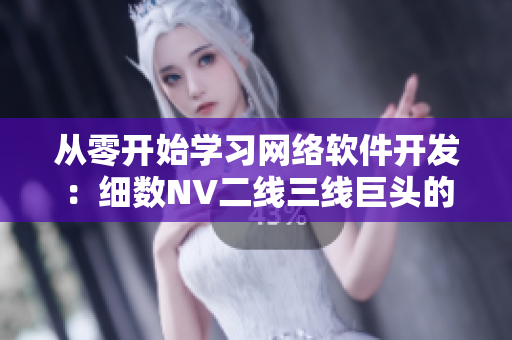 從零開始學習網(wǎng)絡軟件開發(fā)：細數(shù)NV二線三線巨頭的開發(fā)路線