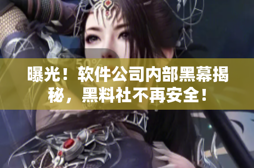曝光！軟件公司內(nèi)部黑幕揭秘，黑料社不再安全！