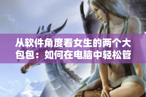 從軟件角度看女生的兩個大包包：如何在電腦中輕松管理和整理？