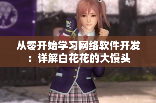 從零開始學習網(wǎng)絡軟件開發(fā)：詳解白花花的大饅頭