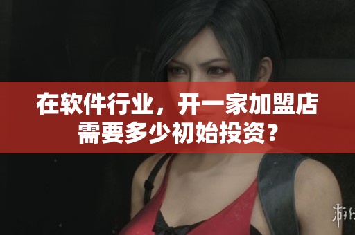 在軟件行業(yè)，開一家加盟店需要多少初始投資？