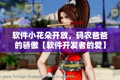 軟件小花朵開(kāi)放，碼農(nóng)爸爸的驕傲【軟件開(kāi)發(fā)者的愛(ài)】