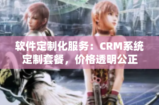 軟件定制化服務(wù)：CRM系統(tǒng)定制套餐，價(jià)格透明公正
