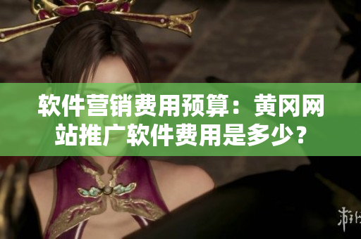 軟件營銷費用預(yù)算：黃岡網(wǎng)站推廣軟件費用是多少？