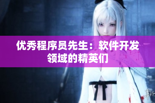優(yōu)秀程序員先生：軟件開(kāi)發(fā)領(lǐng)域的精英們