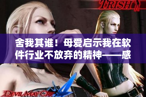 舍我其誰！母愛啟示我在軟件行業(yè)不放棄的精神——感悟分享