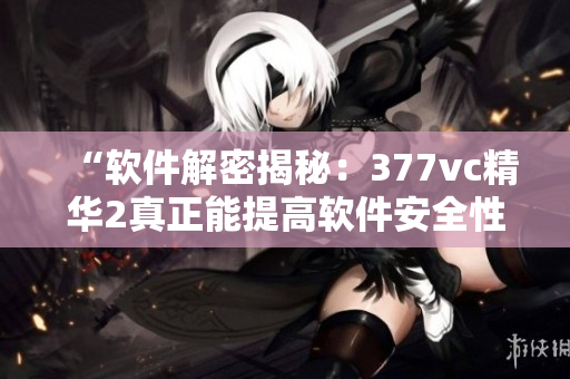 “軟件解密揭秘：377vc精華2真正能提高軟件安全性？”
