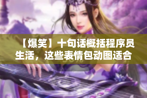 【爆笑】十句話概括程序員生活，這些表情包動圖適合你發(fā)給同行！