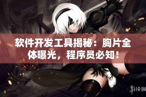 軟件開(kāi)發(fā)工具揭秘：胸片全體曝光，程序員必知！
