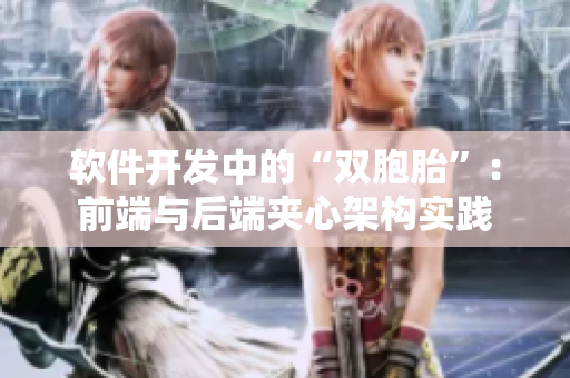 軟件開發(fā)中的“雙胞胎”：前端與后端夾心架構(gòu)實(shí)踐
