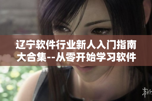 遼寧軟件行業(yè)新人入門指南大合集--從零開始學(xué)習(xí)軟件開發(fā)全過(guò)程
