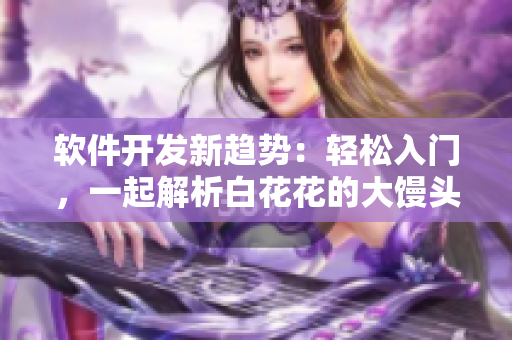 軟件開發(fā)新趨勢：輕松入門，一起解析白花花的大饅頭