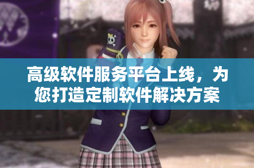 高級軟件服務平臺上線，為您打造定制軟件解決方案