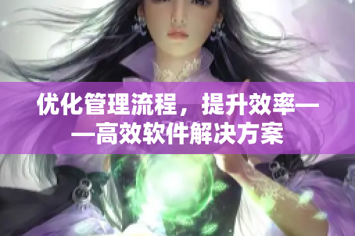 優(yōu)化管理流程，提升效率——高效軟件解決方案
