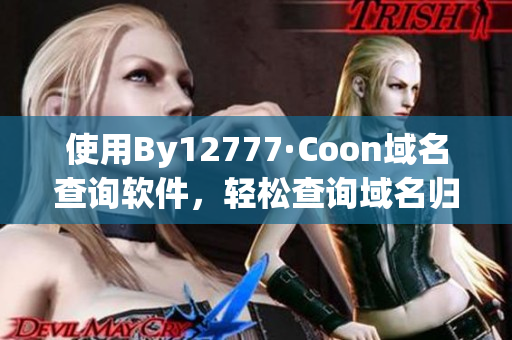使用By12777·Coon域名查詢軟件，輕松查詢域名歸屬和歷史記錄
