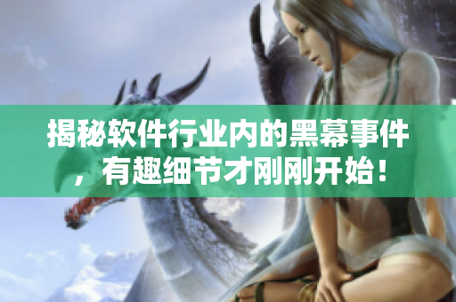 揭秘軟件行業(yè)內(nèi)的黑幕事件，有趣細節(jié)才剛剛開始！