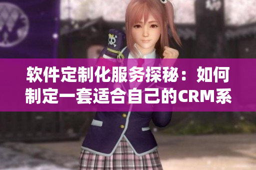 軟件定制化服務(wù)探秘：如何制定一套適合自己的CRM系統(tǒng)？