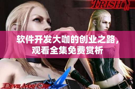 軟件開(kāi)發(fā)大咖的創(chuàng)業(yè)之路，觀(guān)看全集免費(fèi)賞析