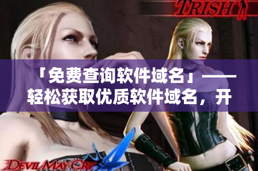 「免費(fèi)查詢軟件域名」——輕松獲取優(yōu)質(zhì)軟件域名，開創(chuàng)新篇章！